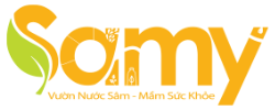 Logo thương hiệu